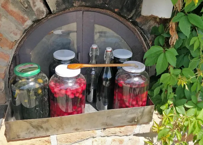 Novakporta Vendeghaz